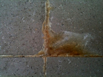 the most frequent reason for regrouting decks in Auckland - efflorescence