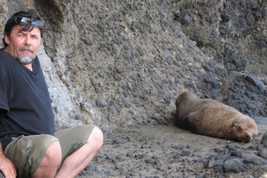 seal
