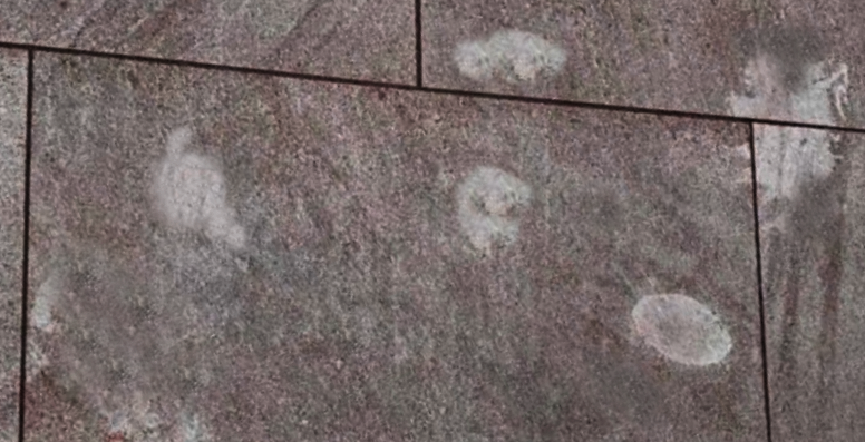 Tile And Grout Restoration Problems: bleach stains