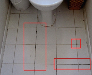 regrouting decks and showers