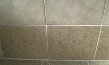 shower base
